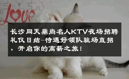 长沙同天鼎尚名人KTV夜场招聘礼仪日结-待遇好领队驻场直招，开启你的高薪之旅！