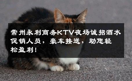 常州永利商务KTV夜场诚招酒水促销人员，豪车接送，助您轻松盈利！