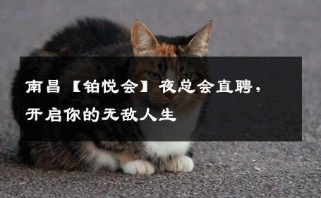 南昌【铂悦会】夜总会直聘，开启你的无敌人生
