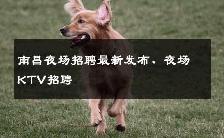 南昌夜场招聘最新发布，夜场KTV招聘