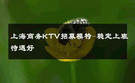 上海商务KTV招募模特-稳定上班待遇好