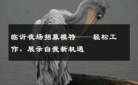 临沂夜场招募模特——轻松工作，展示自我新机遇
