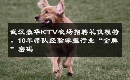 武汉豪华KTV夜场招聘礼仪模特，10年带队经验掌握行业“金牌”密码