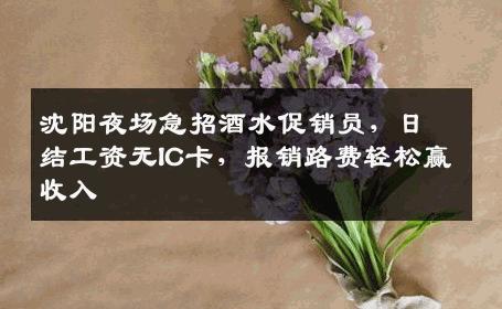 沈阳夜场急招酒水促销员，日结工资无IC卡，报销路费轻松赢收入