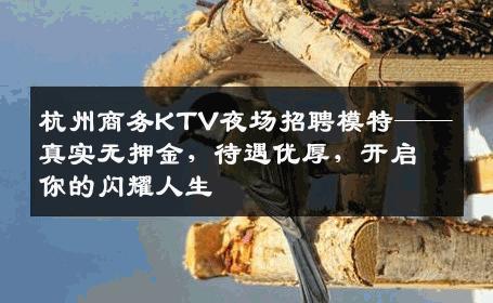 杭州商务KTV夜场招聘模特——真实无押金，待遇优厚，开启你的闪耀人生