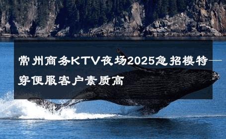 常州商务KTV夜场2025急招模特—穿便服客户素质高
