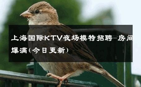上海国际KTV夜场模特招聘-房间爆满(今日更新)