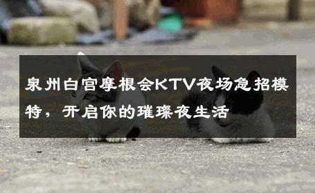 泉州白宫摩根会KTV夜场急招模特，开启你的璀璨夜生活