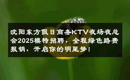 沈阳东方假日商务KTV夜场夜总会2025模特招聘，全程绿色路费报销，开启你的明星梦！