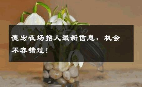 德宏夜场招人最新信息，机会不容错过！