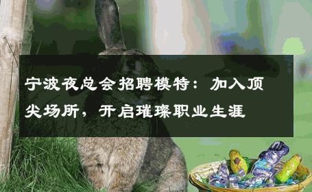 宁波夜总会招聘模特：加入顶尖场所，开启璀璨职业生涯