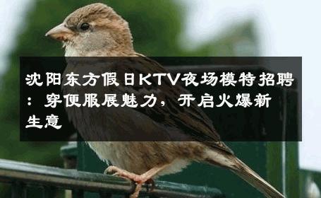 沈阳东方假日KTV夜场模特招聘：穿便服展魅力，开启火爆新生意
