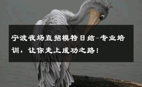 宁波夜场直招模特日结-专业培训，让你走上成功之路！