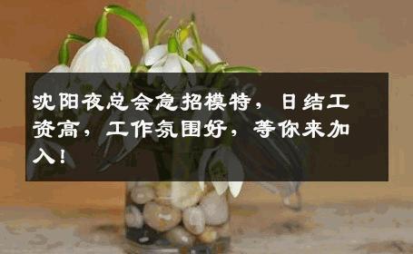 沈阳夜总会急招模特，日结工资高，工作氛围好，等你来加入！