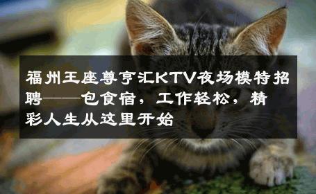福州王座尊亨汇KTV夜场模特招聘——包食宿，工作轻松，精彩人生从这里开始