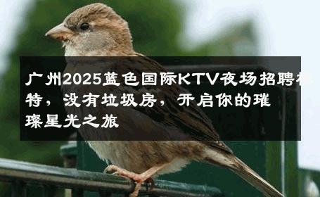 广州2025蓝色国际KTV夜场招聘模特，没有垃圾房，开启你的璀璨星光之旅