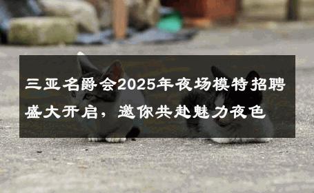 三亚名爵会2025年夜场模特招聘盛大开启，邀你共赴魅力夜色