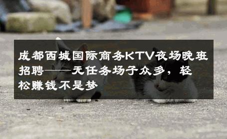 成都西城国际商务KTV夜场晚班招聘——无任务场子众多，轻松赚钱不是梦
