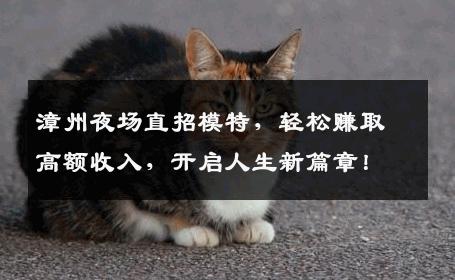 漳州夜场直招模特，轻松赚取高额收入，开启人生新篇章！