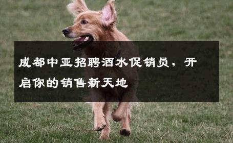 成都中亚招聘酒水促销员，开启你的销售新天地