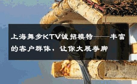 上海舞步KTV诚招模特——丰富的客户群体，让你大展拳脚