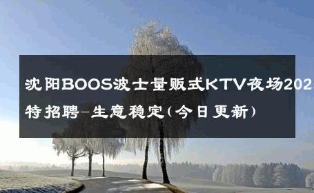 沈阳BOOS波士量贩式KTV夜场2025模特招聘-生意稳定(今日更新)