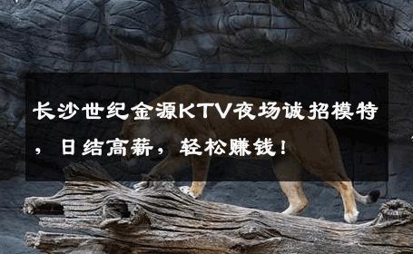 长沙世纪金源KTV夜场诚招模特，日结高薪，轻松赚钱！