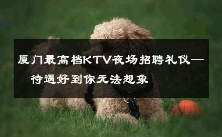 厦门最高档KTV夜场招聘礼仪——待遇好到你无法想象