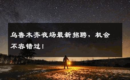 乌鲁木齐夜场最新招聘，机会不容错过！