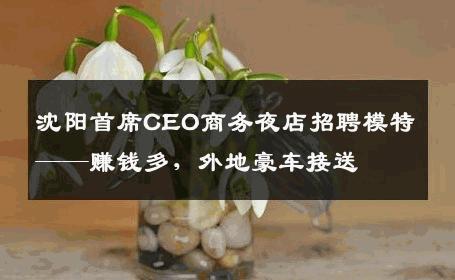 沈阳首席CEO商务夜店招聘模特——赚钱多，外地豪车接送