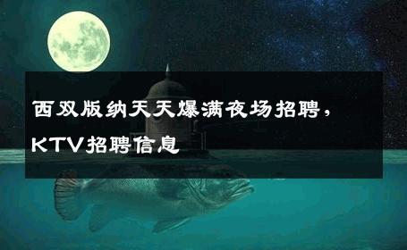 西双版纳天天爆满夜场招聘，KTV招聘信息
