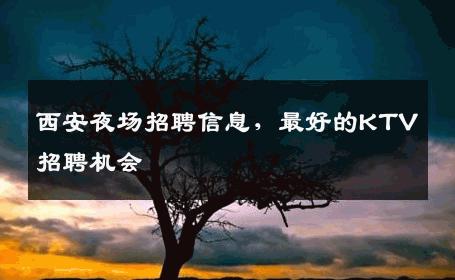 西安夜场招聘信息，最好的KTV招聘机会