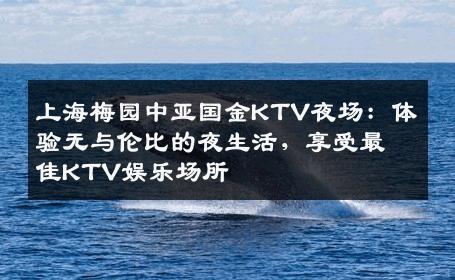 上海梅园中亚国金KTV夜场：体验无与伦比的夜生活，享受最佳KTV娱乐场所