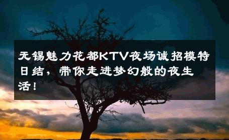 无锡魅力花都KTV夜场诚招模特日结，带你走进梦幻般的夜生活！
