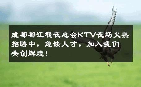 成都都江堰夜总会KTV夜场火热招聘中，急缺人才，加入我们共创辉煌！