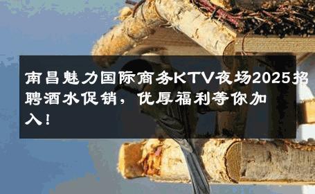 南昌魅力国际商务KTV夜场2025招聘酒水促销，优厚福利等你加入！