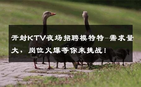 开封KTV夜场招聘模特特-需求量大，岗位火爆等你来挑战！