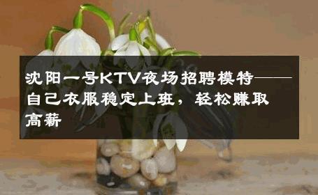 沈阳一号KTV夜场招聘模特——自己衣服稳定上班，轻松赚取高薪