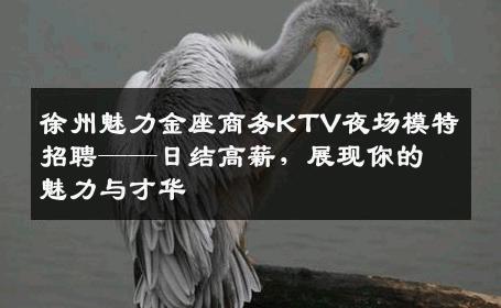 徐州魅力金座商务KTV夜场模特招聘——日结高薪，展现你的魅力与才华