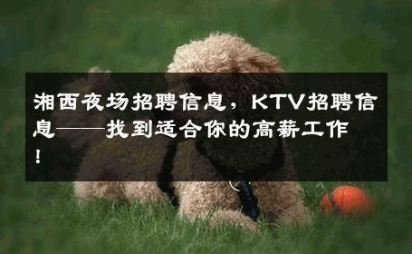 湘西夜场招聘信息，KTV招聘信息——找到适合你的高薪工作！