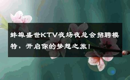 蚌埠盛世KTV夜场夜总会招聘模特，开启你的梦想之旅！