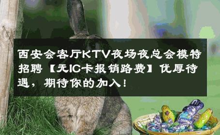 西安会客厅KTV夜场夜总会模特招聘【无IC卡报销路费】优厚待遇，期待你的加入！