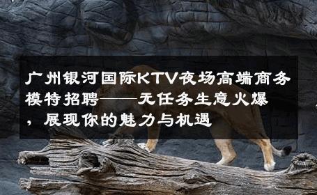 广州银河国际KTV夜场高端商务模特招聘——无任务生意火爆，展现你的魅力与机遇