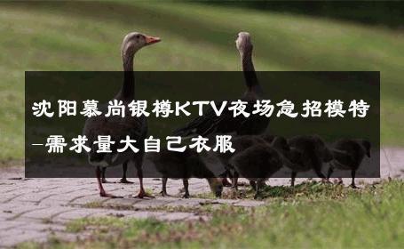 沈阳慕尚银樽KTV夜场急招模特-需求量大自己衣服