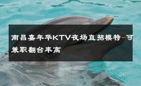 南昌嘉年华KTV夜场直招模特-可兼职翻台率高