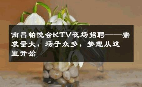 南昌铂悦会KTV夜场招聘——需求量大，场子众多，梦想从这里开始