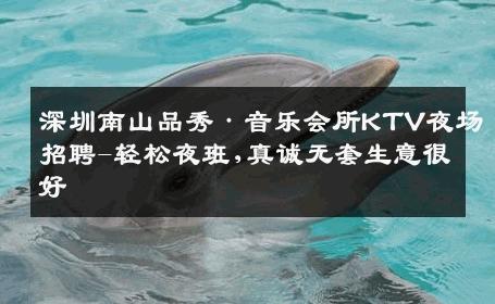 深圳南山品秀·音乐会所KTV夜场招聘-轻松夜班,真诚无套生意很好