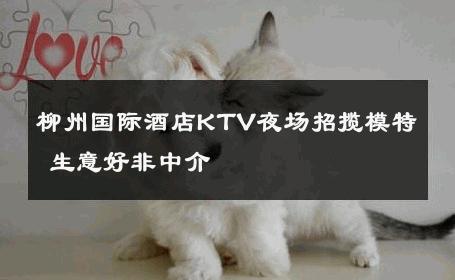 柳州国际酒店KTV夜场招揽模特 生意好非中介