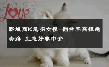聊城商K急招女模-翻台率高拒绝套路 生意好非中介
