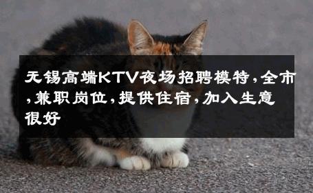 无锡高端KTV夜场招聘模特,全市,兼职岗位,提供住宿,加入生意很好